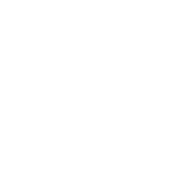 Windows & Doors Repaired